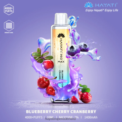 Hayati Pro Max wegwerpbaar bosbes kers cranberry XX66X97 Hayati Flavour List
