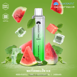 Hayati Pro Max wegwerpbaar watermeloen ijs XX66X127 Hayati Flavour List