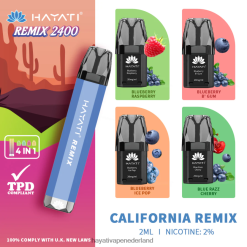 Hayati Remix voorgevuld podsysteem 2400 trekjes Californië remix XX66X51 Hayati Nederland